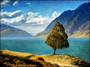 Góry, Nowa Zelandia, Drzewo, Jezioro, Hawea