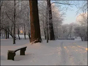 Śnieg, Zima, Drzewa, Park, Ławka