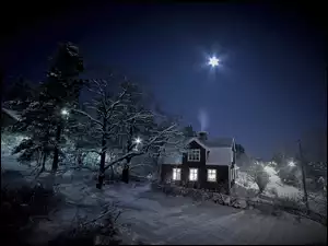 Domek, Gwiazda, Drzewa, Śnieg