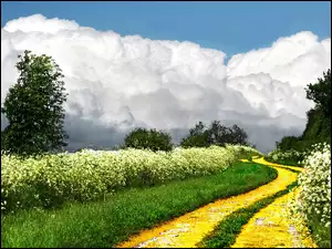 Droga, Chmury, Kwiaty, Drzewa