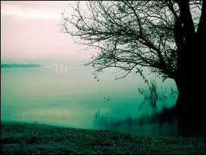 Jezioro, Jesień, Drzewo, Zmrok
