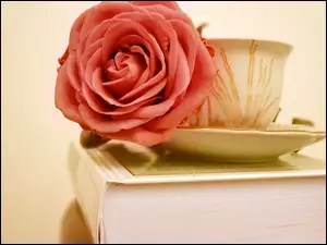 Różowa, Książka, Róża, Filiżanka