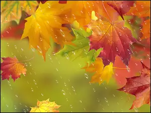 Liście, Art, Deszcz, Jesień