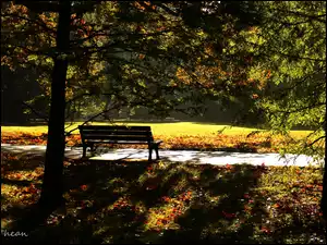 Jesień, Park, Ławka, Drzewa, Poranek