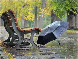 Park, Jesień, Ławka, Parasol