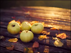 Jabłka, Jesień, Liście, Ławka