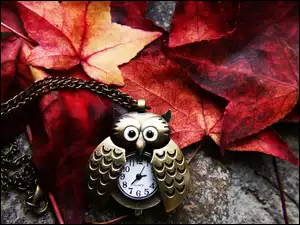 Jesień, Sowa, Liście, Zegarek
