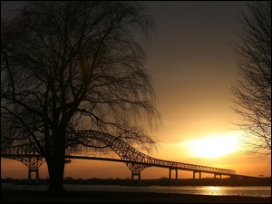 Most, Słońca, Drzewa, Zachód