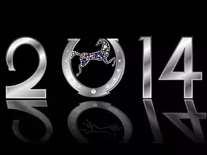 Nowy Rok, 2014