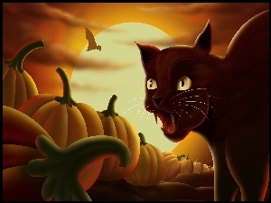Halloween, Kot, Dynie