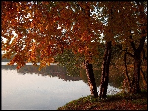 Jezioro, Krajobraz, Drzewa, Jesień