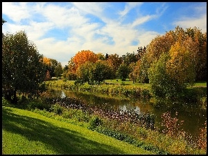 Jesień, Rzeka, Kolorowe, Park, Drzewa