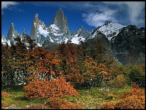 Patagonia, Glaciares, Park, Narodowy