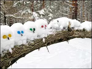 Figury, Sowy, Powalone, Kot, Drzewo, Śniegowe