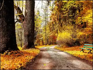 Jesień, Park, Ławka, Aleja, Drzewa