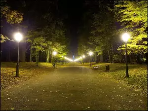 Park, Oświetlenie, Drzewa, Alejka