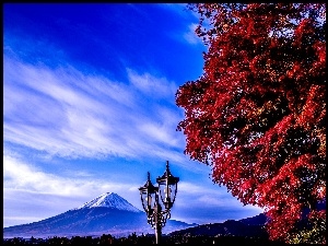 Japonia, Góra, Drzewo, Fuji, Lampa