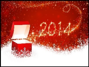 Nowy Rok 2014, Prezent