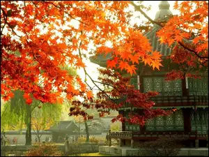Korea, Pałacyk, Jesień, Gałęzie, Seul