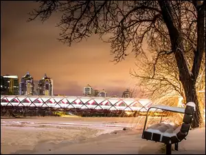 Ławka, Calgary, Zima, Most, Drzewo