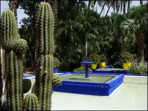 Egzotyczny, Kaktus, Ogród, Fontanna