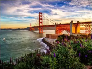 Rzeka, Łubiny, Most Golden Gate, Zachód Słońca