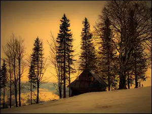 Zima, Wiata, Drzewa, Góry, Zmrok