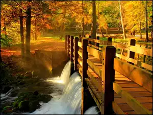 Jesień, Park, Most, Rzeka, Światło