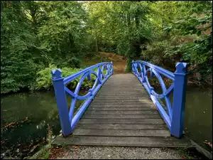 Park, Drewniany, Most, Niebieski, Rzeka