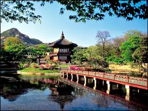 Jezioro, Jong, Changwon, Miasto, Most, Pawilon, Park