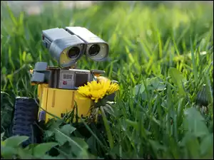Trawa, Robot, Łąka, Fotografujący, Kwiaty