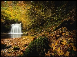 Jesień, Wodospad, Kamienie, Las, Liście