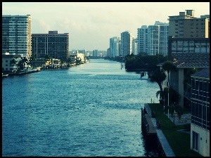 Floryda, Rzeka, Drzewa, Wieżowce, Miami