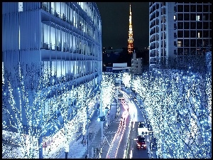 Dekoracja, Tokio, Drzewa, Nocą, Świąteczna