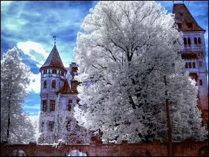 Rumunia, Zamek w Branie, Miejscowość Bran, Castelul Bran, Siedmiogród
