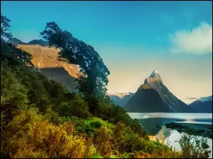 Góry, Nowa Zelandia, Roślinność, Milford