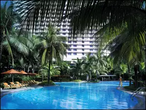 Tajlandia, Hotel, Palmy, Basen, Bangkok