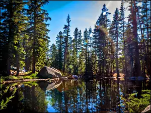 Kamienie, Kalifornia, Las, USA, Jezioro, Park Narodowy Yosemite