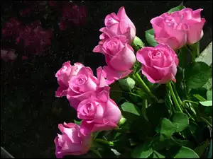 Kwiaty, Róże, Bukiet, Różowe