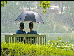 Parasol, Park, Ławka, Deszcz, Para