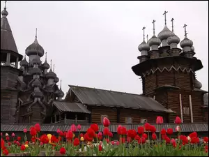 Tulipany, Karelia, Drewniane, Kiży, Cerkwie