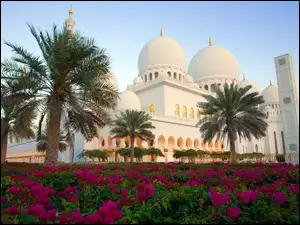 Kwiaty, Zjednoczone Emiraty Arabskie, Sheikh Zayed, Meczet, Palmy