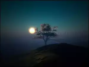 Noc, Księżyc, Drzewo, Mgła