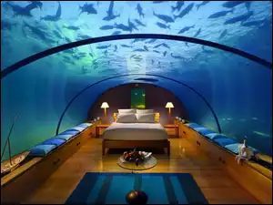 Podwodny, Oceanarium, Hotel, Dubaj