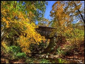 Jesień, Most, Drzewa, Rzeczka