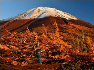 Jesień, Wulkan, Fuji