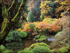 Portland, Mostek, Ogród, Japoński, Oregon, Staw, Park