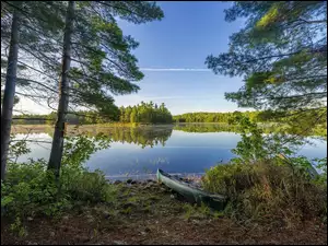 Drzewa, Łódka, Jezioro