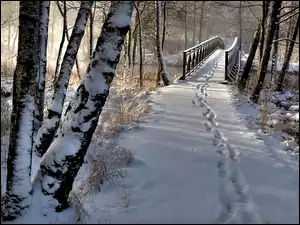 Most, Drzewa, Śnieg, Zima, Ślady, Park, Drewniany