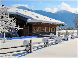 Dom, Drzewa, Zima, Góry, Śnieg, Ogrodzenie